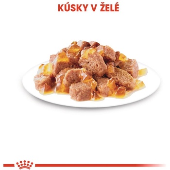 Royal Canin Sterilised v želé 12 x 85 g
