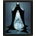 Batman – Gotham protector 3D