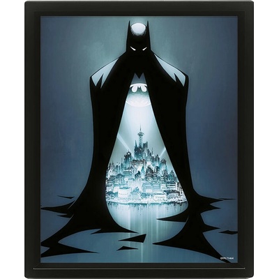 Batman – Gotham protector 3D