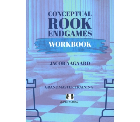 Conceptual Rook Endgames Workbook