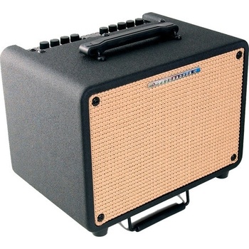 Ibanez T 30