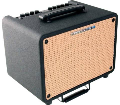 Ibanez T 30