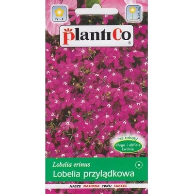 LOBELIA Cape Stroiczka RÓŽOVÁ semená 0,2 g