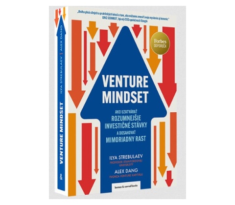 Venture Mindset