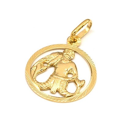 B&B Goldinvestic Zlatý přívěsek vodnář v kruhu N5071