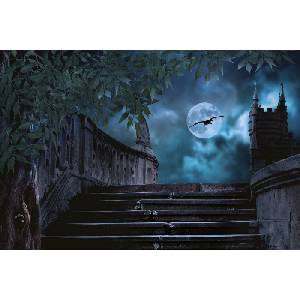 DIMEX ART Флизелинов фототапет каменни стълби през нощта 375 x 250 см