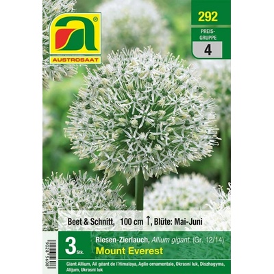 AUSTROSAAT Obrovský okrasný cesnak "Mount Everest" - 3 cibúľ