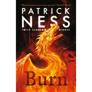 Burn (ISBN: 9781406393972)