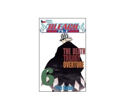 Bleach 6