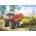 Castorland - Puzzle Forest site - 40 - 99 piese