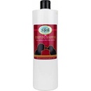 IV San Bernard čistiaci "Purifying" 1000 ml