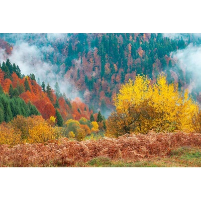 DIMEX ART Флизелинов фототапет красив горски пейзаж 375 x 250 см