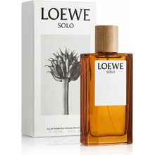 Loewe Solo toaletní voda pánská 100 ml