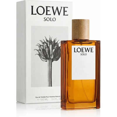Loewe Solo toaletní voda pánská 100 ml