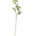 Bloomingville Изкуствено цвете Bloomingville белфлауър (82061525)