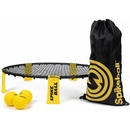 Spikeball Standard