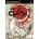 Capcom Okami (PS2)