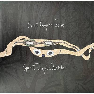 Animal Collective - Spirit They're Gone, Spirit They've Vanished (Reissue) (2 LP) (0887830017510)