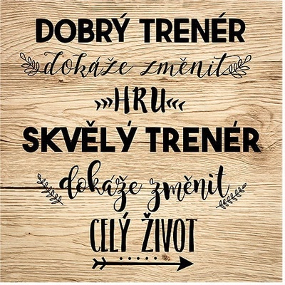 Dekorační obraz na zavěšení 30 x 30 cm - trenér