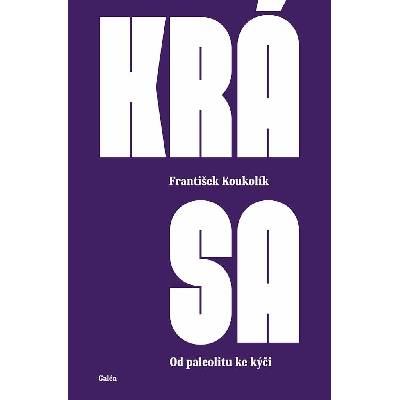 Krása - Od paleolitu ke kýči - František Koukolík