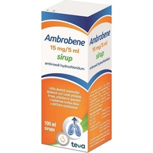 AMBROBENE POR 15MG/5ML SIR 100ML