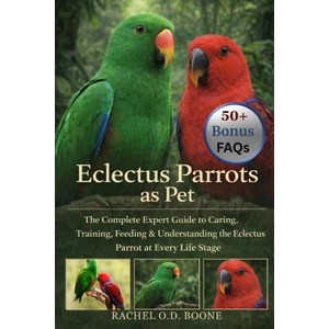 Eclectus Parrots as Pet | RACHEL O. D BOONE (2025)