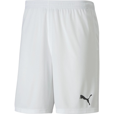 PUMA Team goal 23 knit shorts s