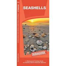 Seashells: A Waterproof Folding Guide to Familiar North American Species