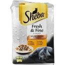 Sheba Fresh & Fine Rybí výběr ve šťávě 6 x 50 g