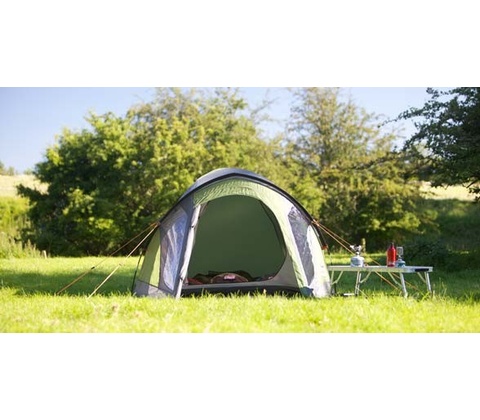 Coleman Darwin 4 plus