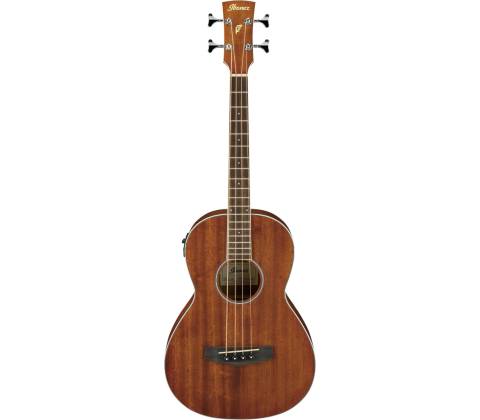Ibanez PNB14E