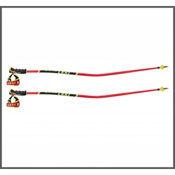 Leki WCR TBS GS 2020/21