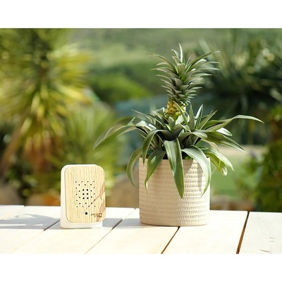 Relaxound 11JGL0201002