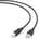 Gembird CCP-USB2-AMBM-1M