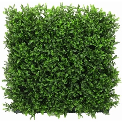 Asplenium dark, dielec 50 x 50 cm