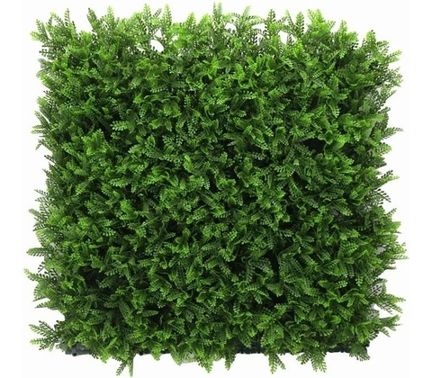 Asplenium dark, dielec 50 x 50 cm
