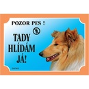 Ostatní pomůcky pro psy Dafiko Tabulka kolie