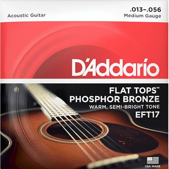 D'addario EFT17