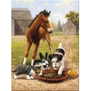 Malování podle čísel Oběd s přáteli