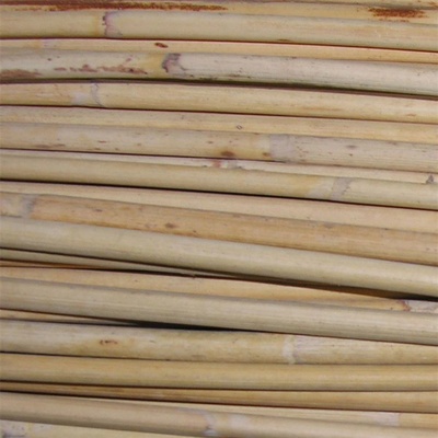 Morex Rákos Sega pr.4-6mm Aa 5204000 – Hledejceny.cz