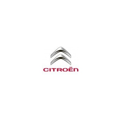 Citroën perleťová farba nariedená, pripravená na striekanie 1000 ml