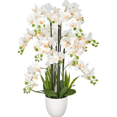 Orchidea biela v kvetináči, 90cm