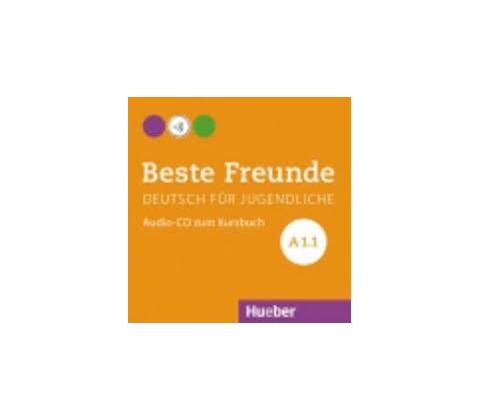 Beste Freunde A1.1