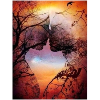 Norimpex - Puzzle Diamant painting: Old love 30x40 cm - 1 - 39 piese