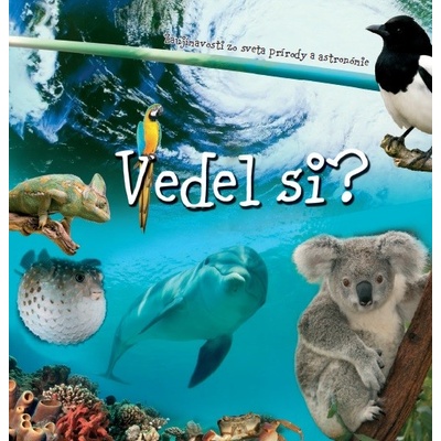 Vedel si ?