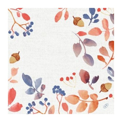 BioDunisoft Ubrousek 40x40cm AUTUMN GRADIENT 60 ks