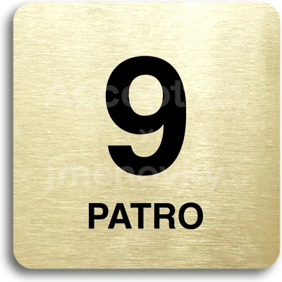 ACCEPT Piktogram 9 patro - zlatá tabulka - černý tisk bez rámečku