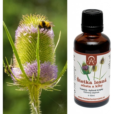 Herbarium Projekt Štetka lesná tinktúra 50 ml