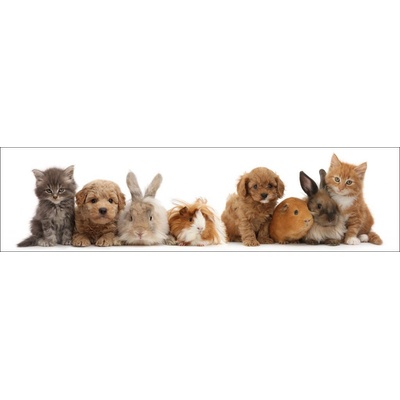 3D záložka - Pet shop gang