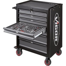 VIGOR 262 ks V4219
